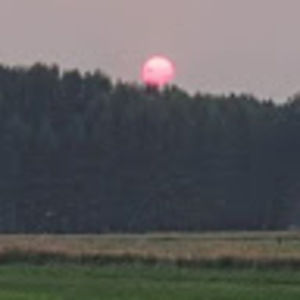 Meet your Posher, Devin